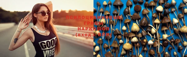 прущие крисы Новозыбков