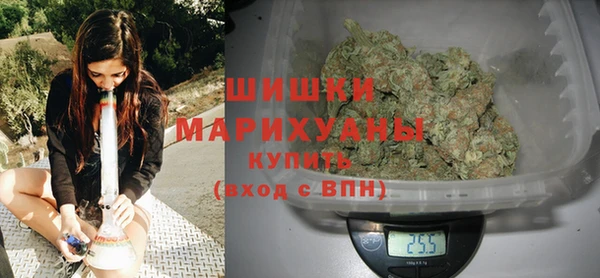 прущие крисы Новозыбков