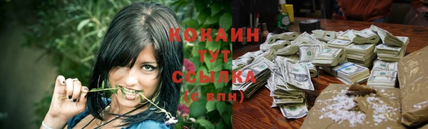 прущие крисы Новозыбков