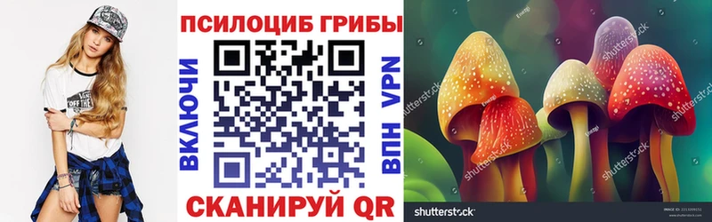 ОМГ ОМГ ТОР Нелидово Псилоцибиновые грибы прущие грибы