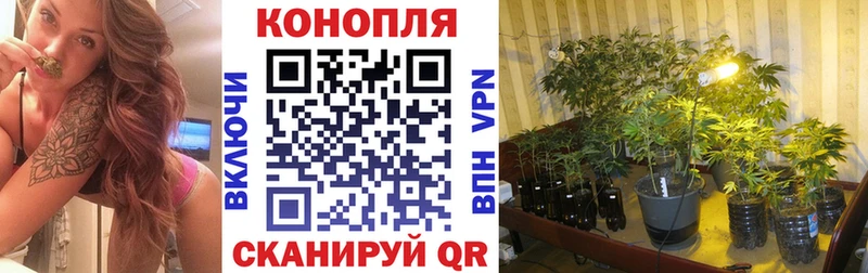 МАРИХУАНА OG Kush Нелидово